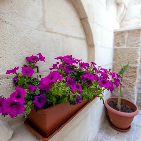 Palazzo Refolo Hébergement de vacances *